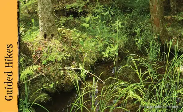 Peatland Bryophytes of Door County featured image 2023