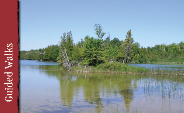 June 27 Wash Island preserve tour