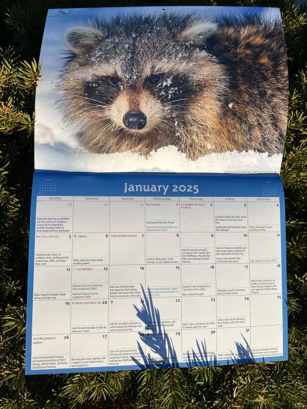 Nature Notes Calendar - Image 3