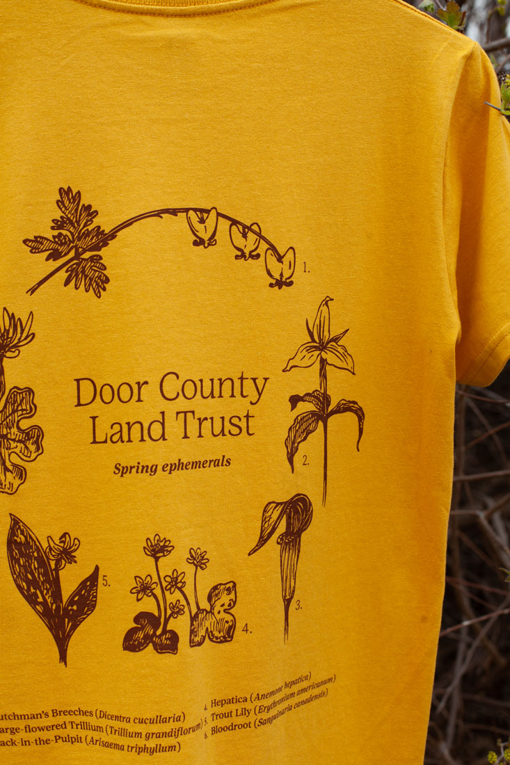 Spring Ephemerals Organic Tee - Gold - Image 3