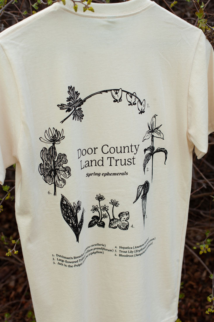 Spring Ephemerals Organic Tee - Cream - Image 2